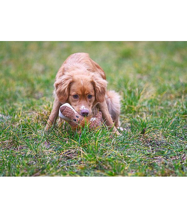Cuddly Lion Dog Toy Lio