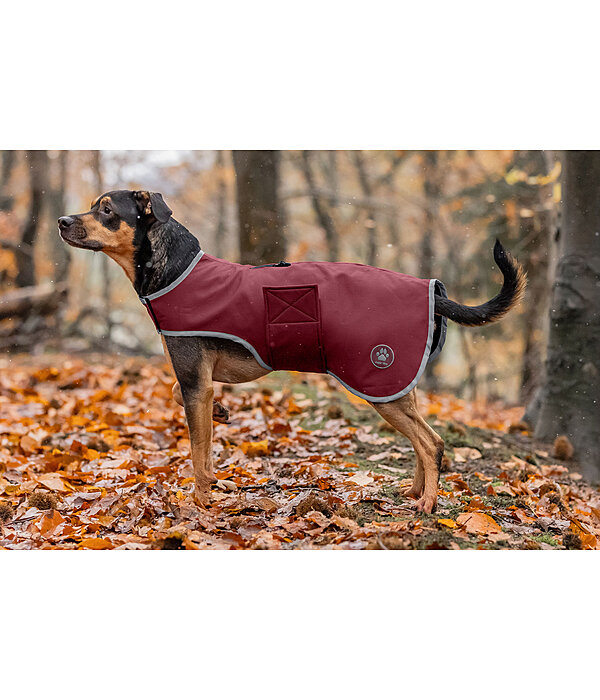 Softshell Dog Coat Athlete, 0g
