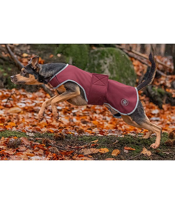 Softshell Dog Coat Athlete, 0g