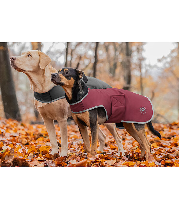 Softshell Dog Coat Athlete, 0g