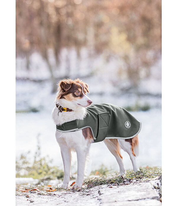 Softshell Dog Coat Athlete, 0g