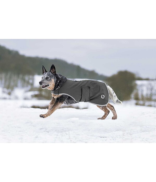 Softshell Dog Coat Athlete, 0g