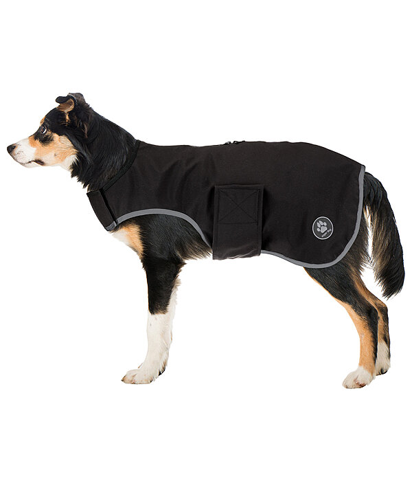Soft shell dog sales coat