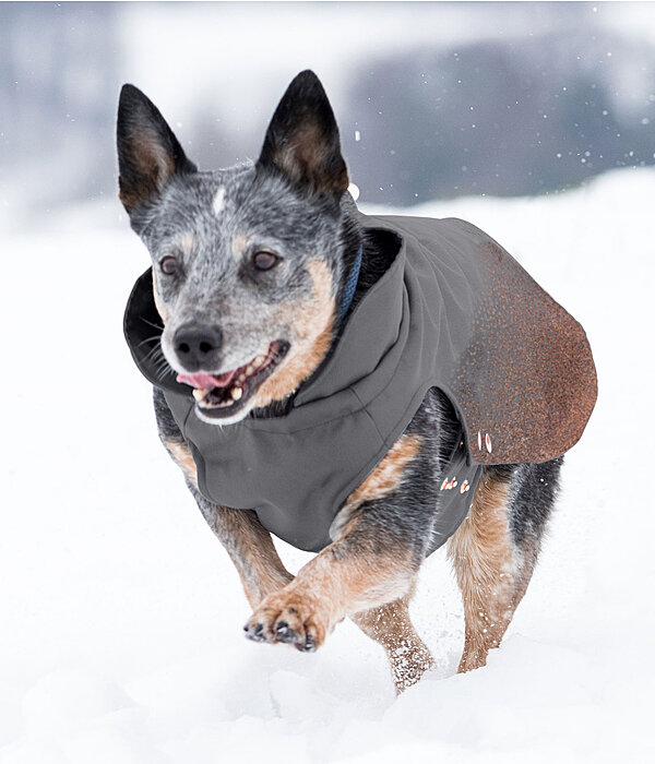 Winter Dog Coat Sparks, 80g