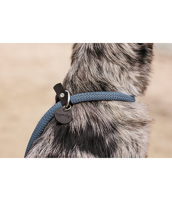 Retriever Lead Rope
