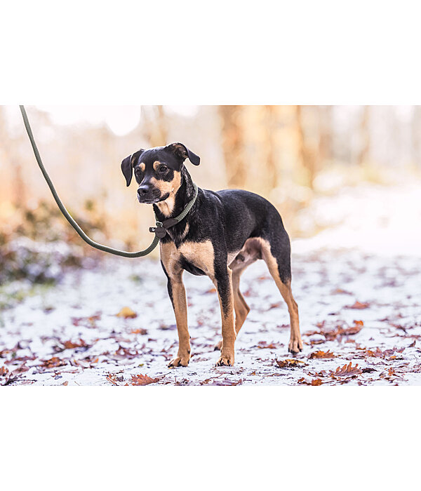 Retriever Lead Rope