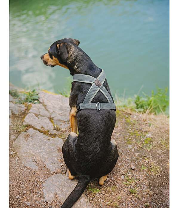 Dog Harness Piper