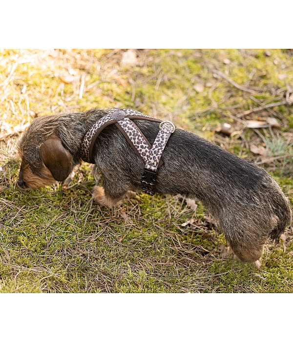 Dog Harness Piper