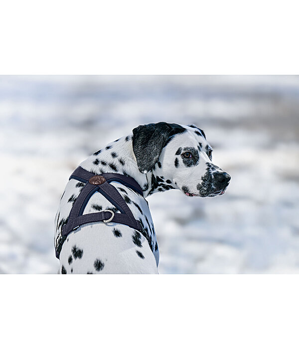 Dog Harness Piper