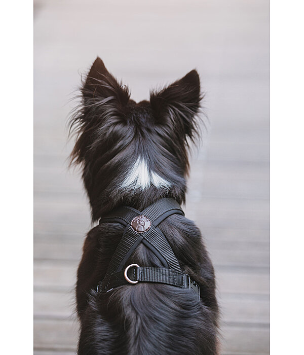 Dog Harness Piper