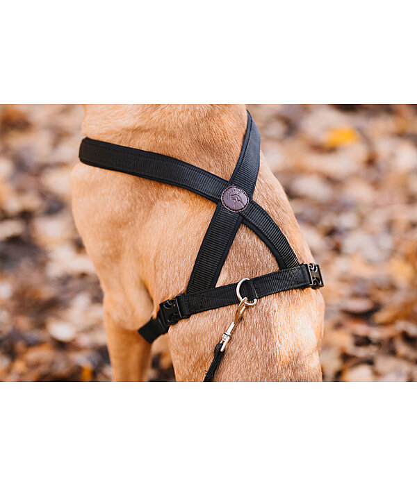 Dog Harness Piper