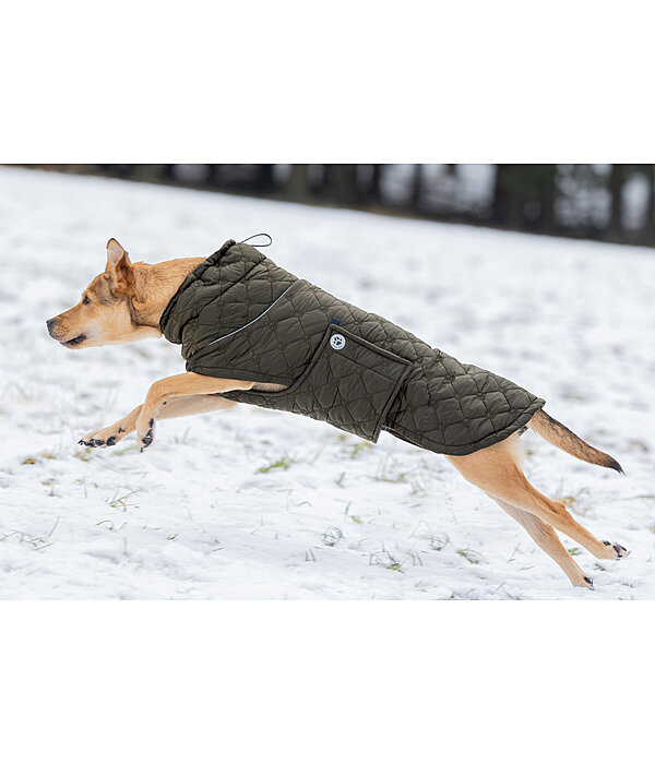 Lightweight Quilted Dog Jacket Cliff with Fleece Lining, 200g