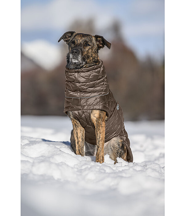 Lightweight Quilted Dog Jacket Cliff with Fleece Lining, 200g