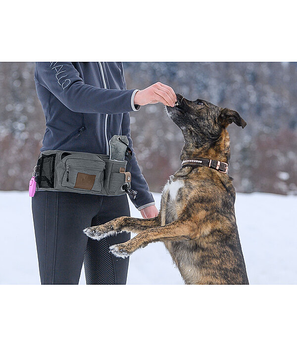 Dog Training Hip Bag Obedience