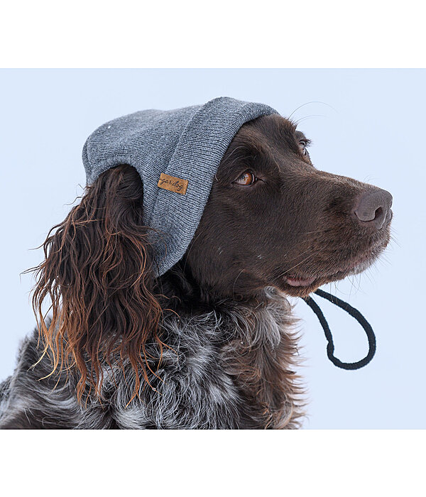 Dog Beanie Evin