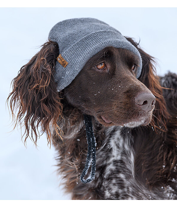 Dog Beanie Evin