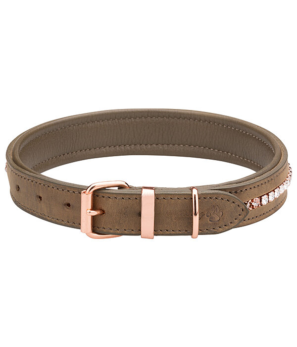 Equestrian leather top dog collars