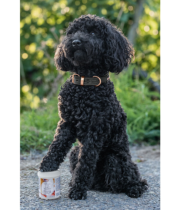 Paw Protection Dog Balm Soft Velvet