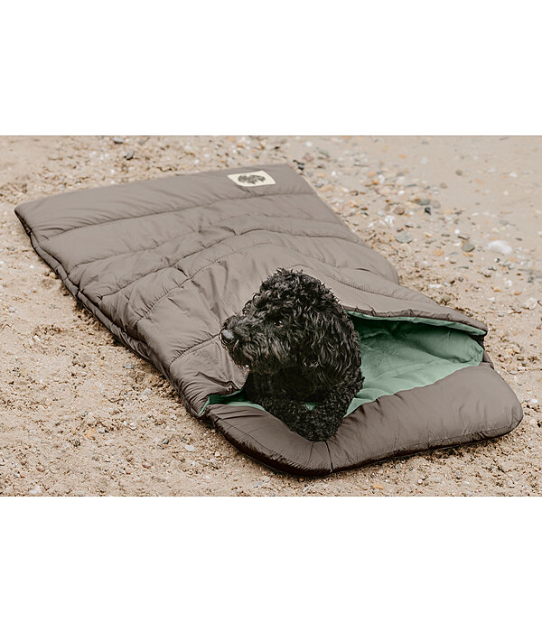 Dog Sleeping Bag Adventure Seeker