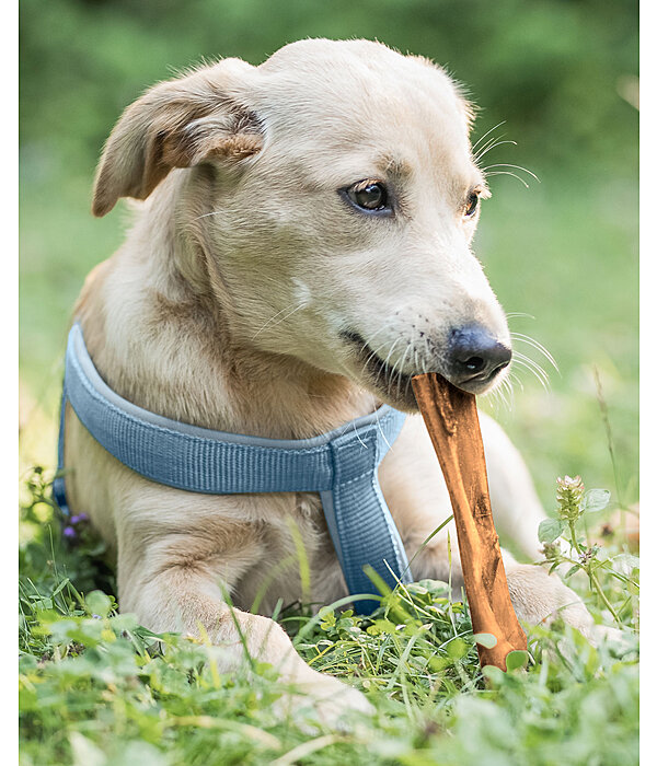 Beef Scalp Dog Snack