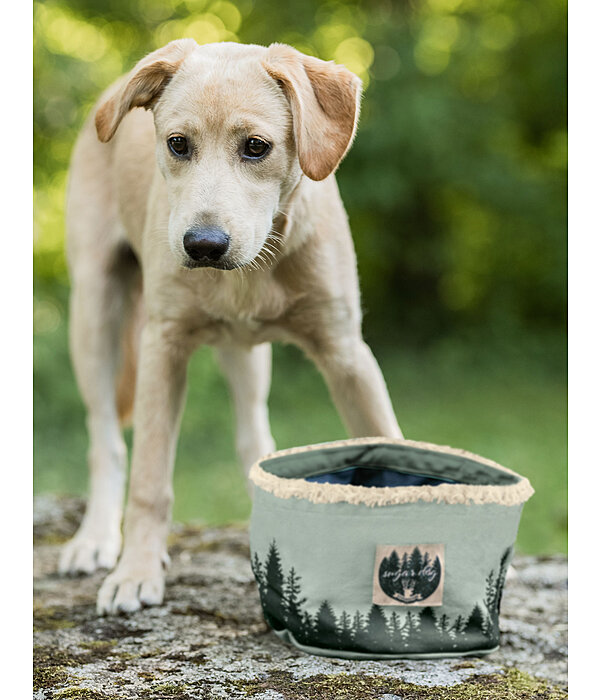 Canvas Dog Travel Bowl Adventure Seeker