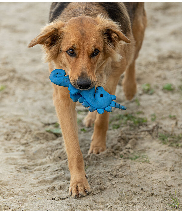 Water Dog Toy Aqua Unicorn