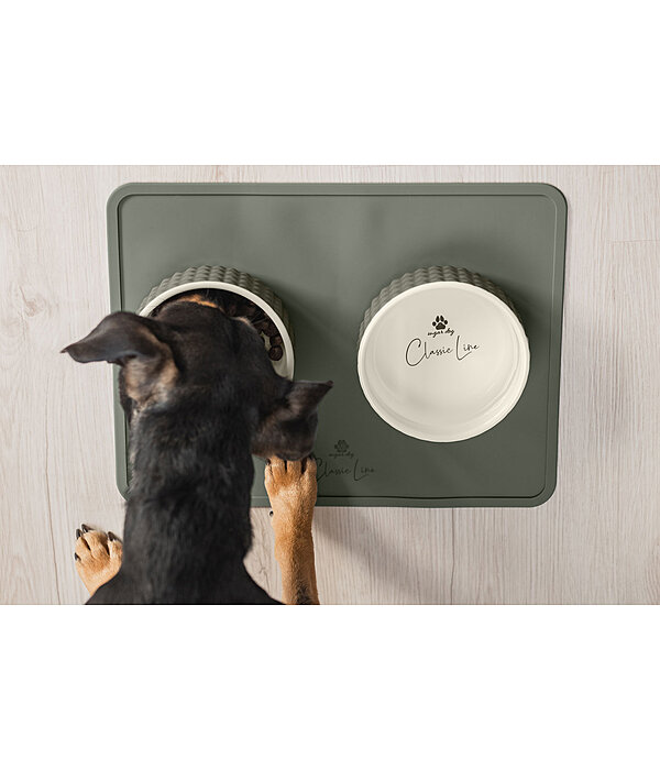 Silicone Dog Bowl Mat Salinas