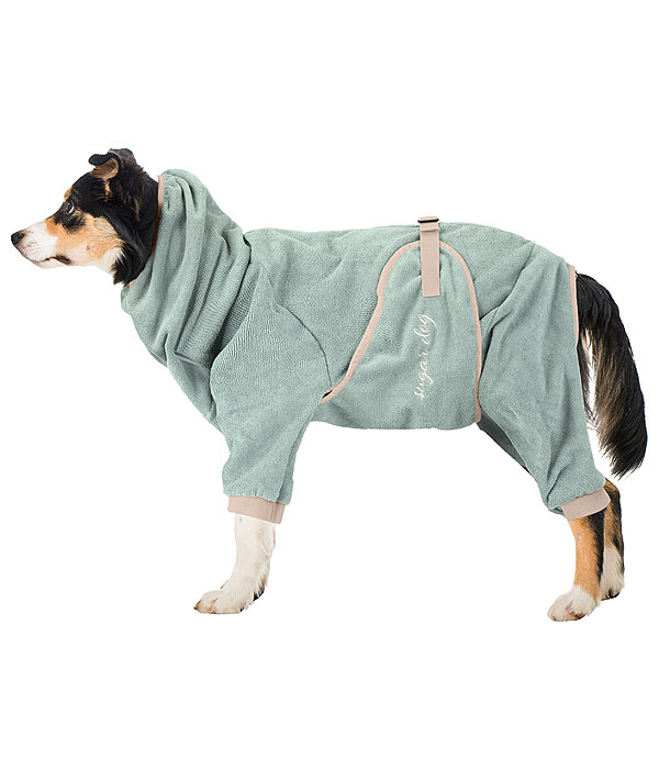 Dog in bathrobe cheap