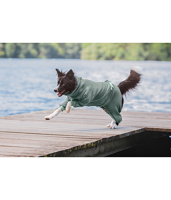 Dog Bathrobe Allover Dry