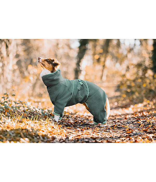 Dog Bathrobe All-Over Dry
