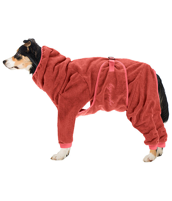 Dog Bathrobe Allover Dry