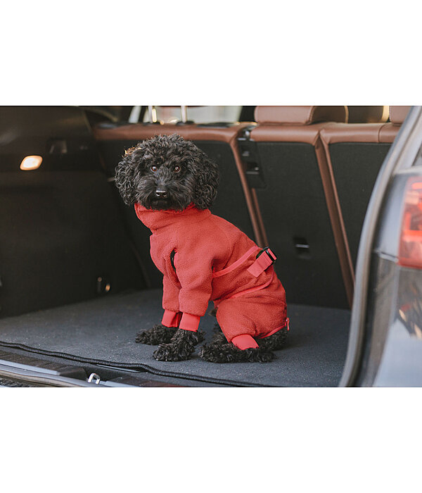Dog Bathrobe All-Over Dry