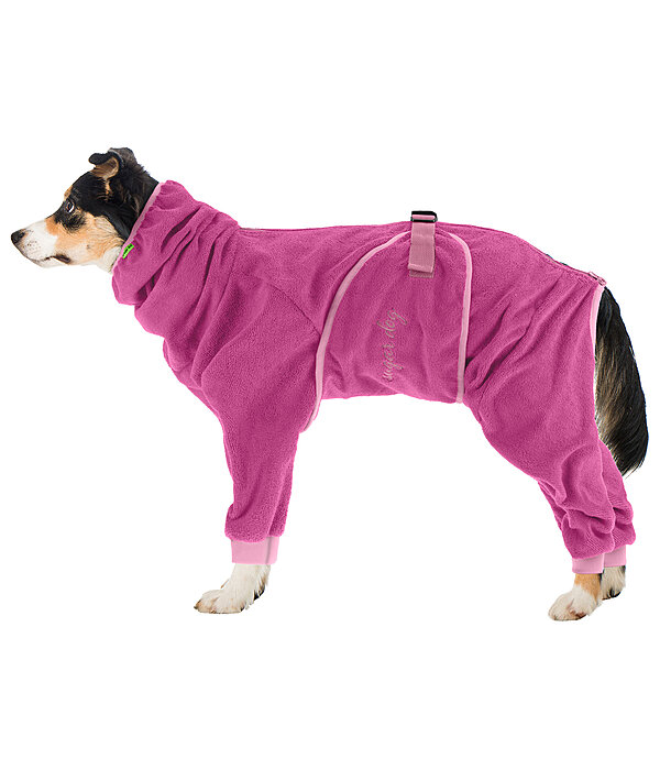 Dog Bathrobe All-Over Dry