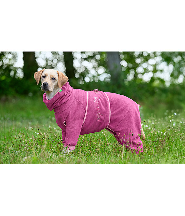 Dog Bathrobe All-Over Dry