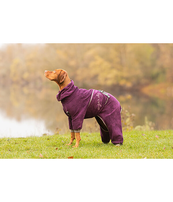 Dog Bathrobe All-Over Dry