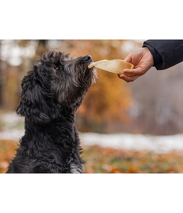 Beef Ears Dog Snack