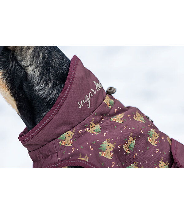 Barbour dog cheap coat purple