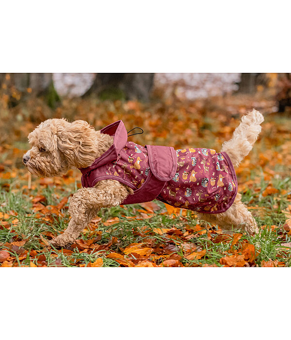 Rain Dog Coat Pumpkin Spice, 0g