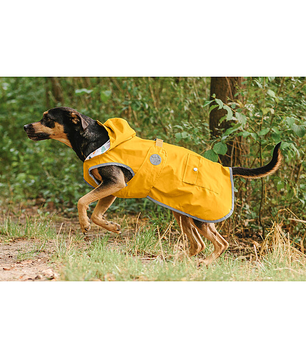 Rain Dog Coat Waterton Lakes, 0g