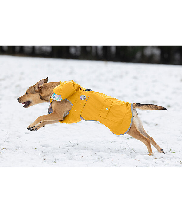 Rain Dog Coat Waterton Lakes, 0g