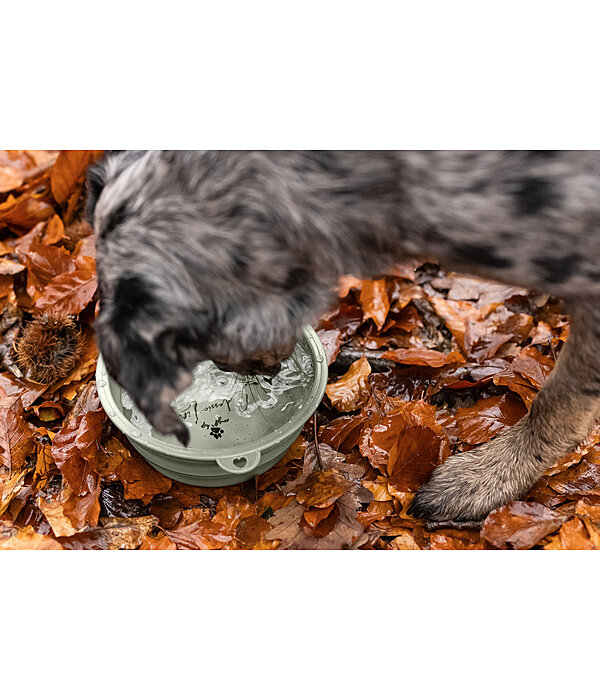 Foldable Dog Bowl Classic Line