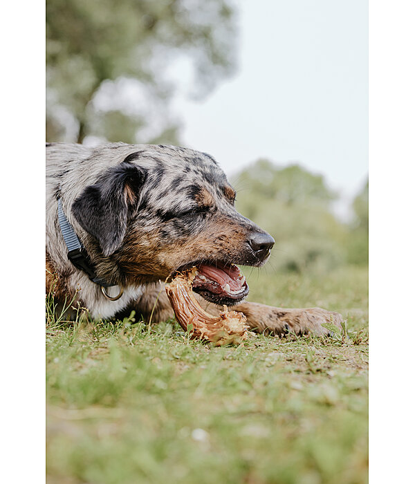 Turkey Necks Dog Snacks