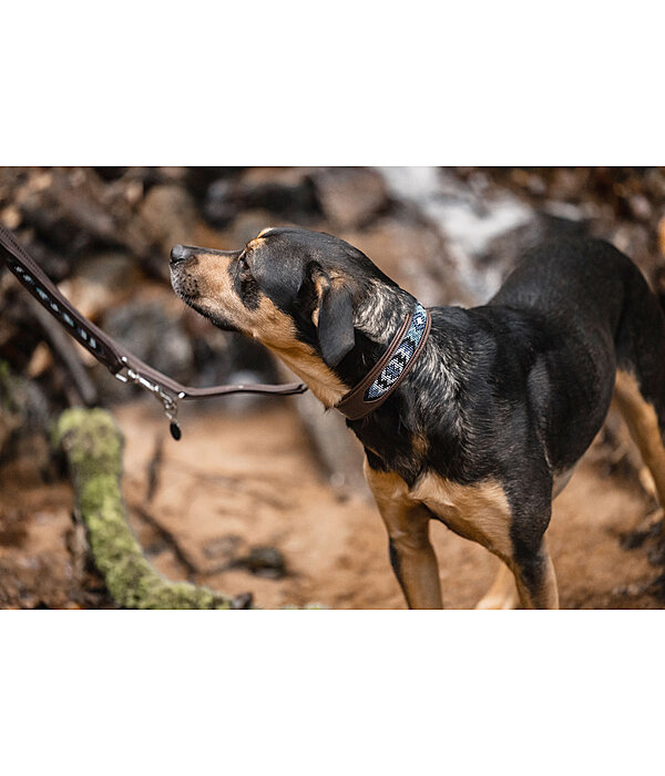 Leather Dog Collar Nashville