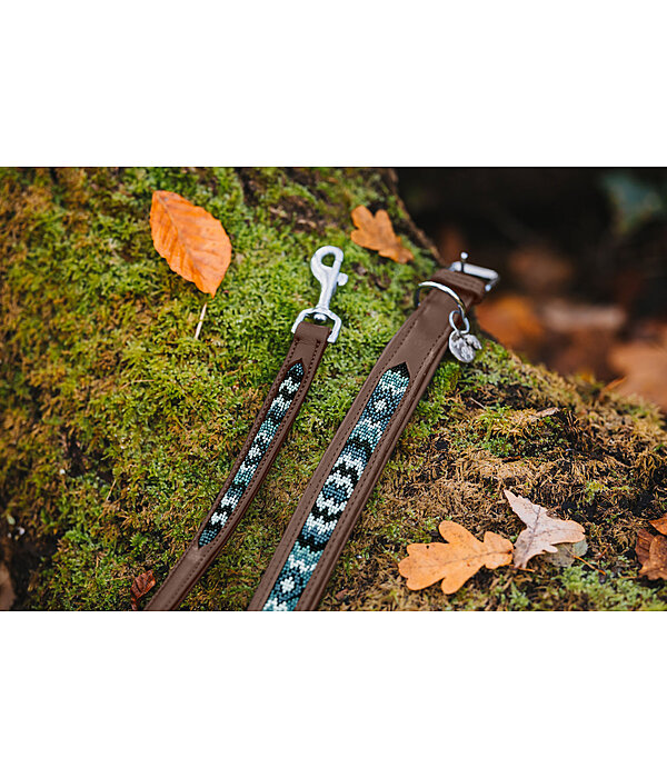 Leather Dog Collar Nashville