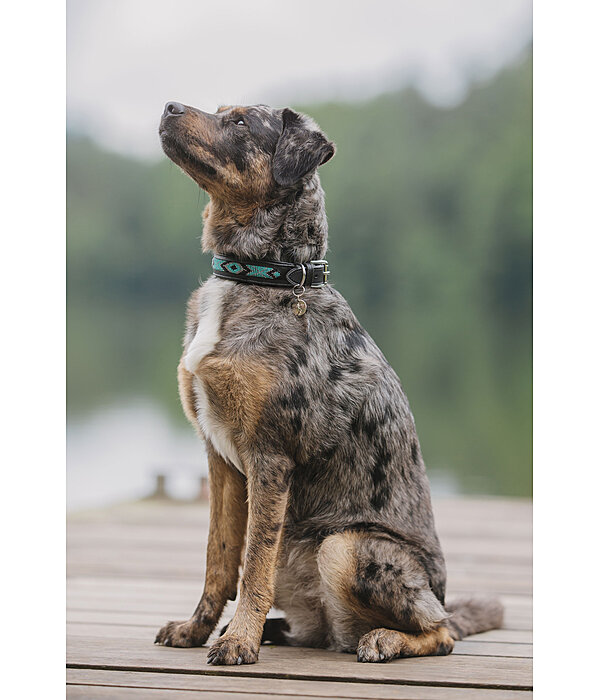 Leather Dog Collar Nashville