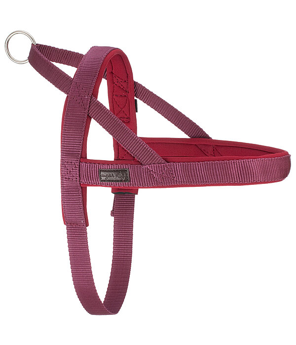 Norwegian Dog Harness Miley