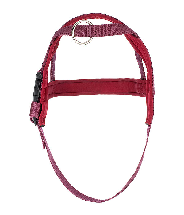 Norwegian Dog Harness Miley