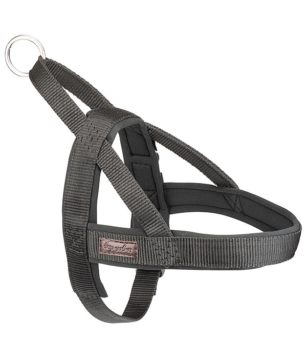 Norwegian Dog Harness Miley