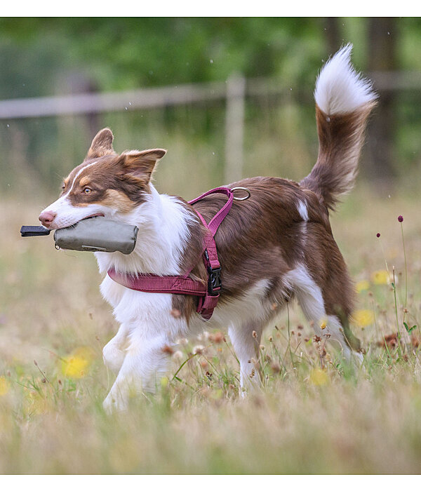 Retrieval Bag Classic Line for Dogs