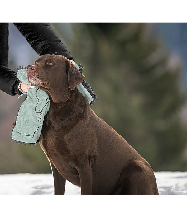 Multifunctional Towel Soulmate for Dogs